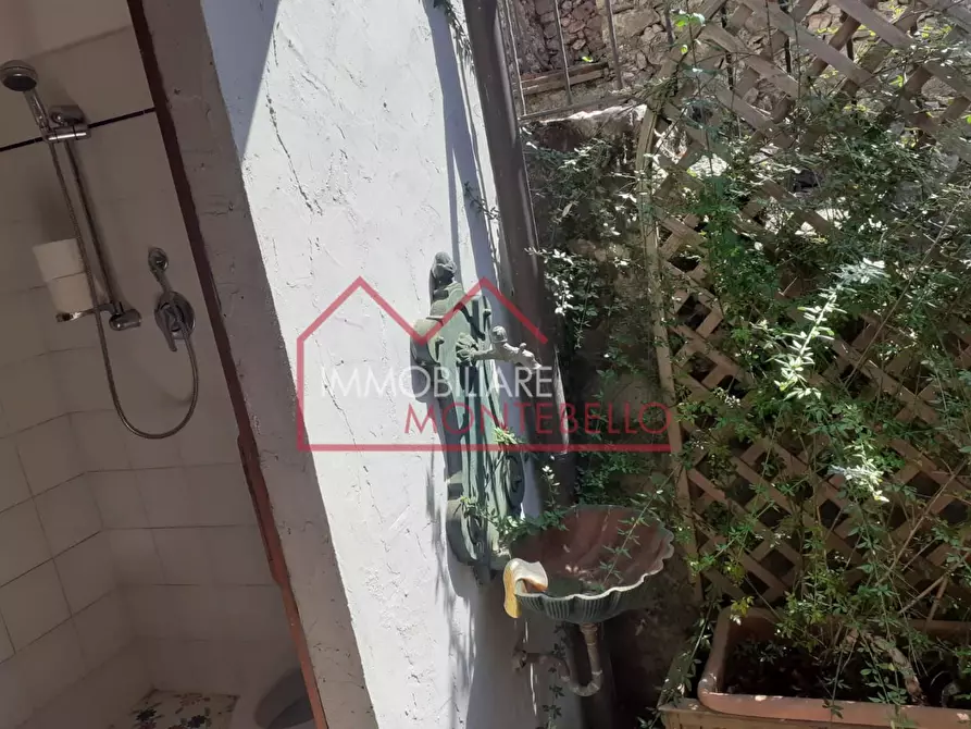 Immagine 23 di Rustico / casale in vendita  a Camaiore