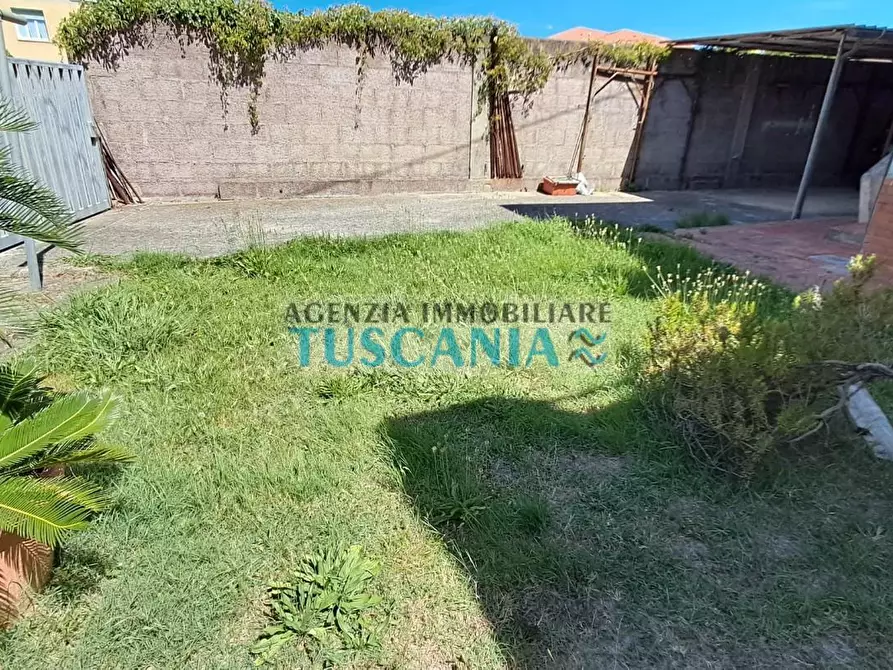 Immagine 14 di Casa indipendente in vendita  a Cecina