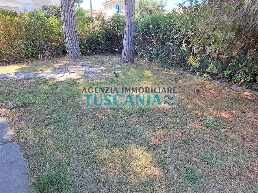 Immagine 12 di Casa indipendente in vendita  a Cecina
