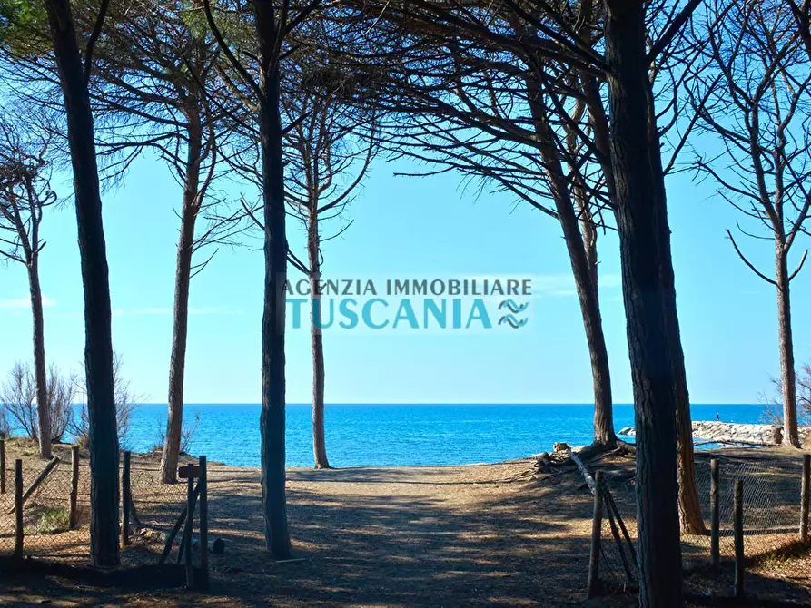 Immagine 5 di Casa indipendente in vendita  a Cecina