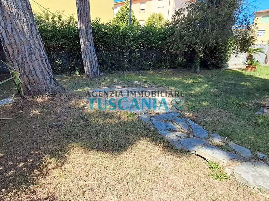 Immagine 13 di Casa indipendente in vendita  a Cecina