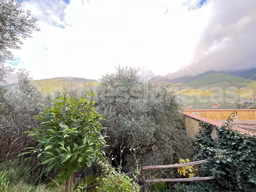 Immagine 9 di Rustico / casale in vendita  a Calci