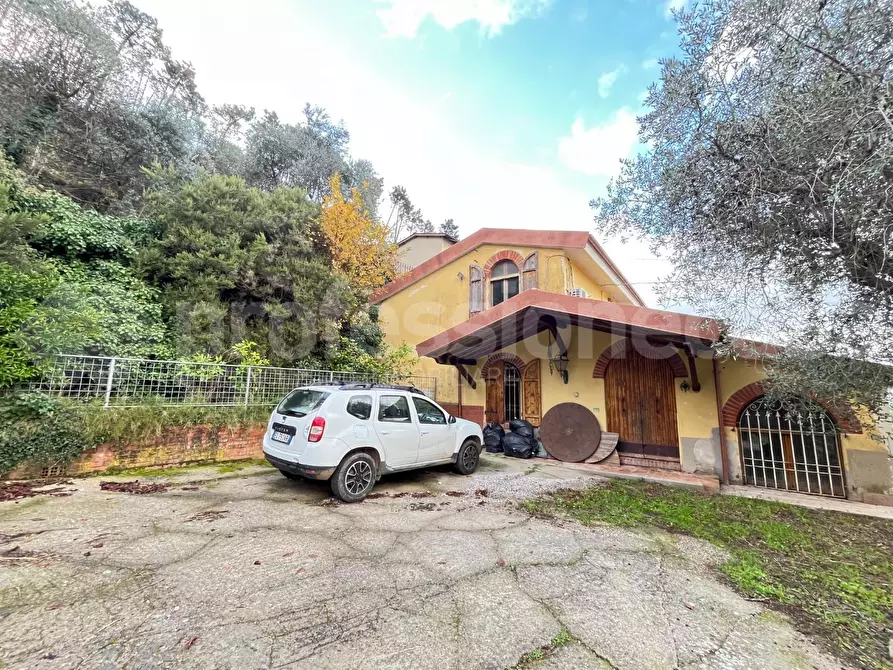 Immagine 2 di Rustico / casale in vendita  a Calci