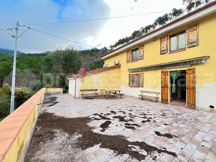 Immagine 7 di Rustico / casale in vendita  a Calci