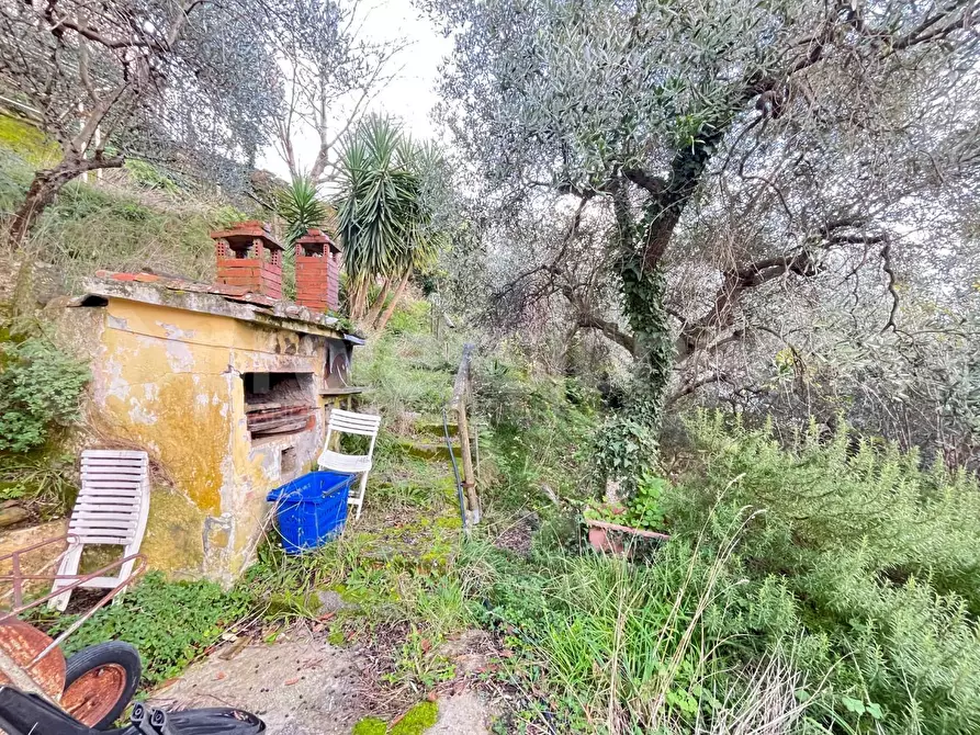 Immagine 10 di Rustico / casale in vendita  a Calci