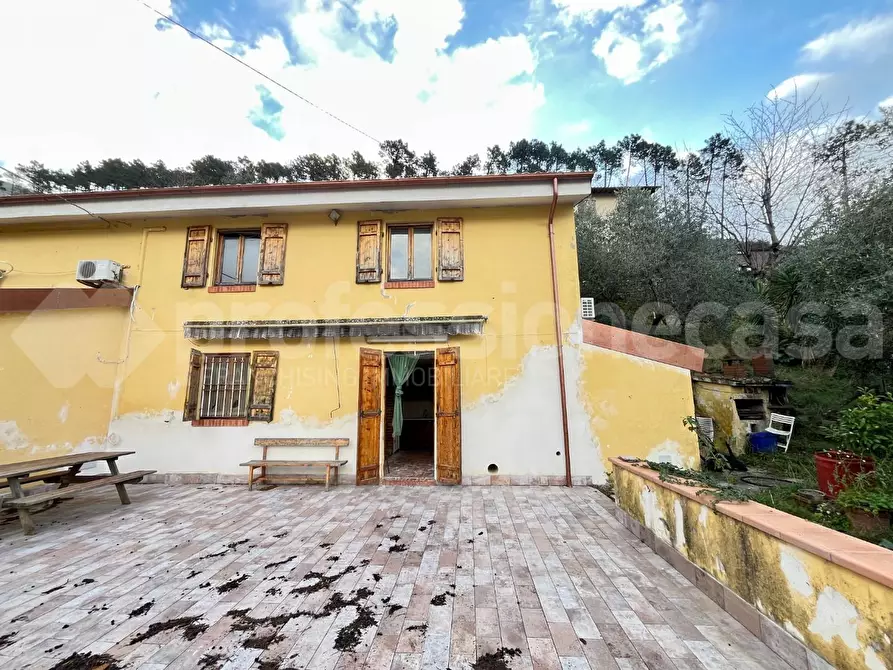 Immagine 12 di Rustico / casale in vendita  a Calci