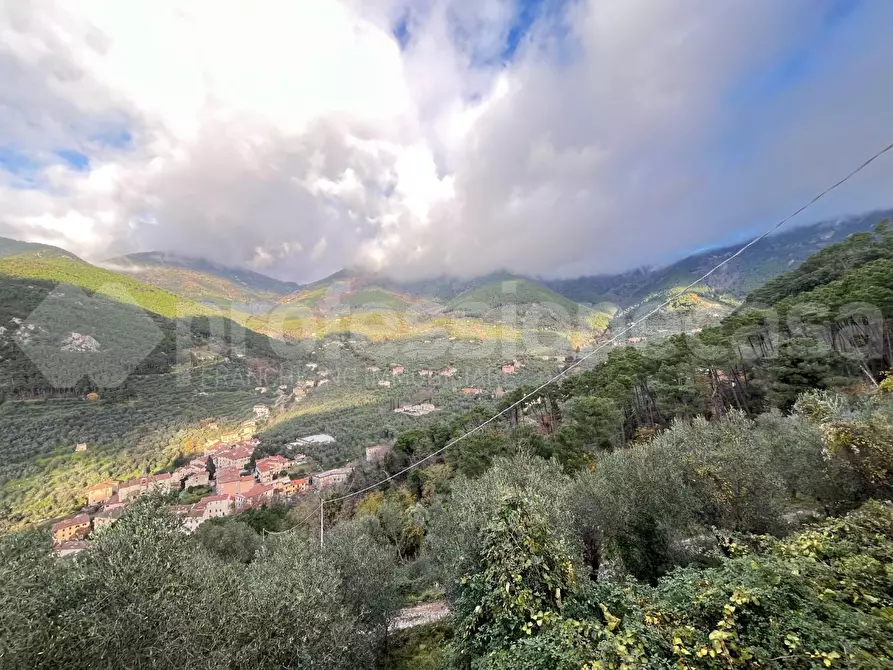 Immagine 11 di Rustico / casale in vendita  a Calci