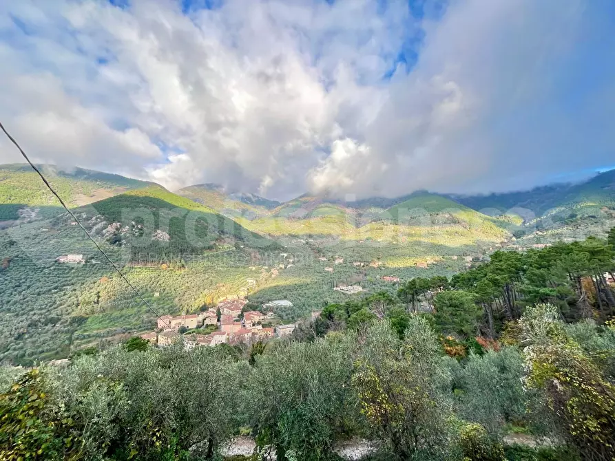 Immagine 13 di Rustico / casale in vendita  a Calci