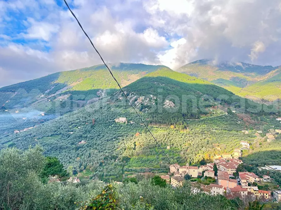 Immagine 27 di Rustico / casale in vendita  a Calci