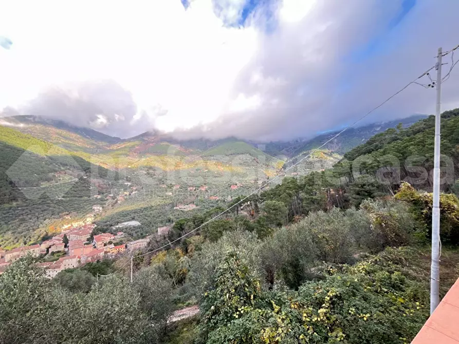 Immagine 8 di Rustico / casale in vendita  a Calci