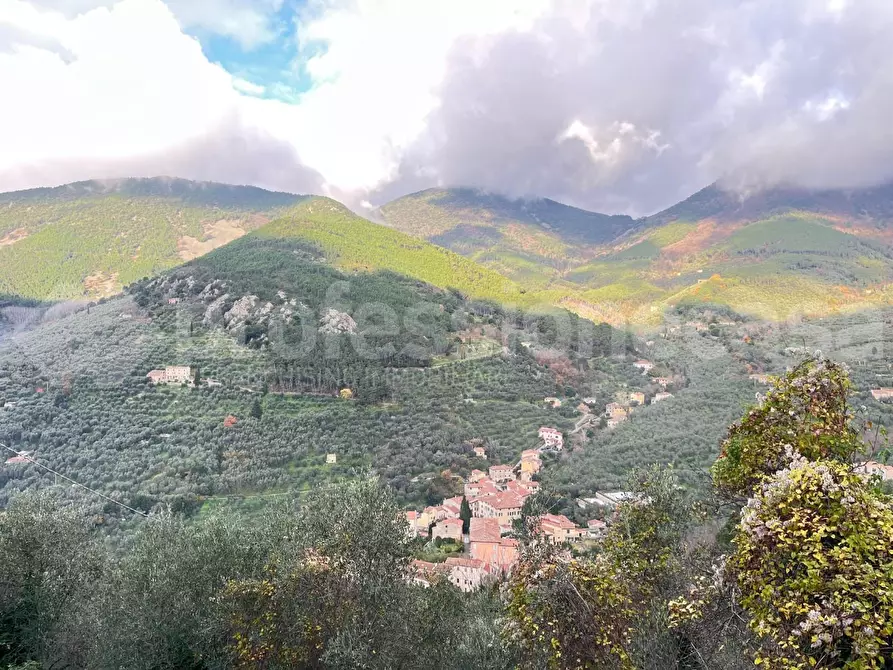 Immagine 19 di Rustico / casale in vendita  a Calci