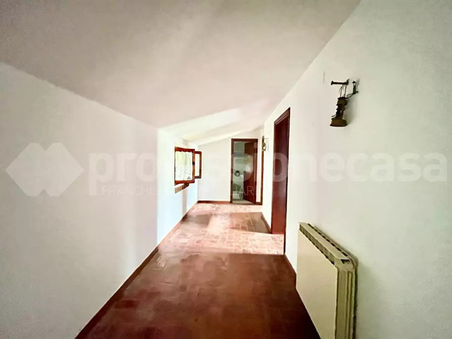 Immagine 28 di Rustico / casale in vendita  a Calci