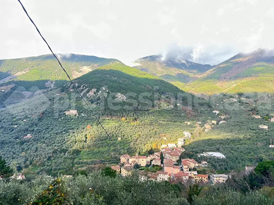 Immagine 23 di Rustico / casale in vendita  a Calci