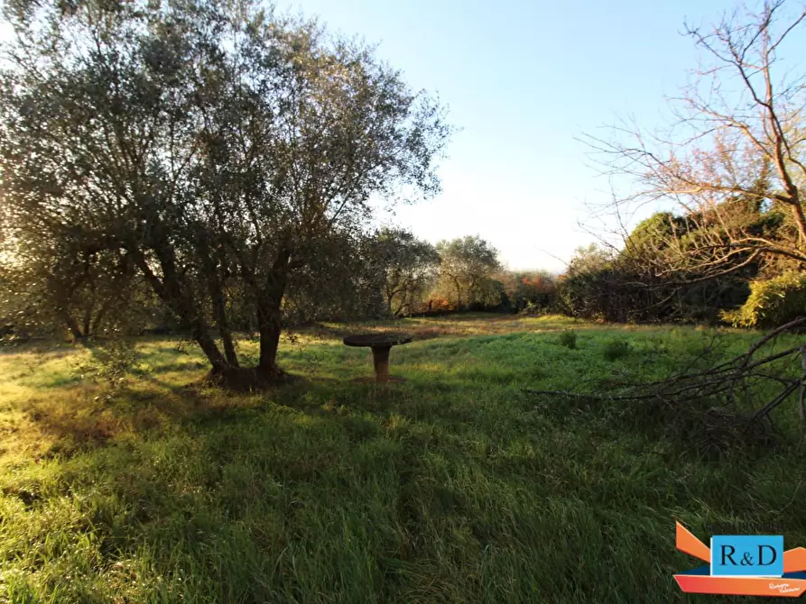 Immagine 31 di Porzione di casa in vendita  a Poggibonsi