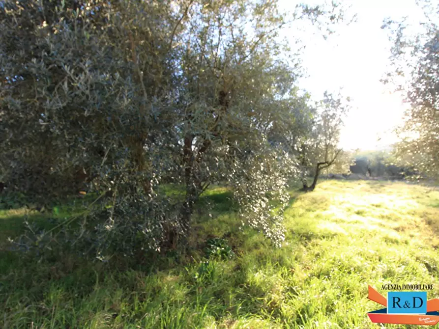 Immagine 32 di Porzione di casa in vendita  a Poggibonsi