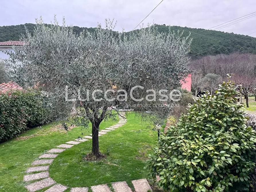 Immagine 16 di Casa indipendente in vendita  a Capannori