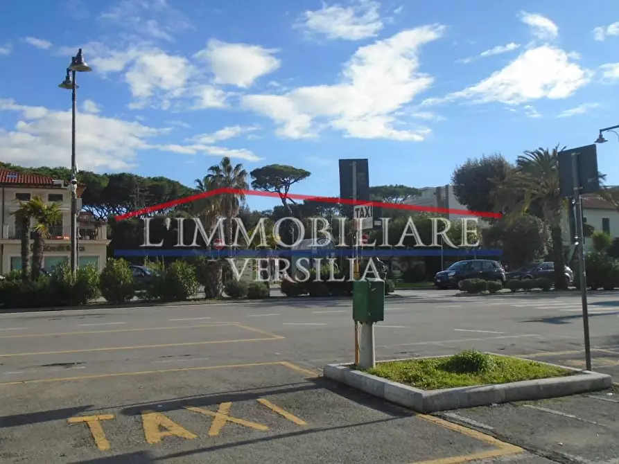 Immagine 34 di Capannone industriale in vendita  a Pietrasanta