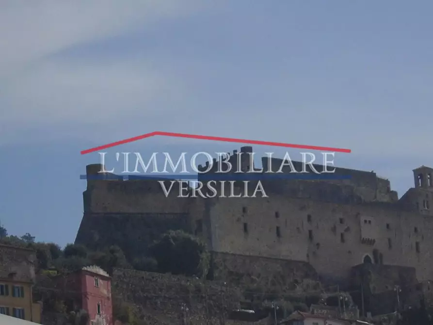 Immagine 2 di Capannone industriale in vendita  a Pietrasanta