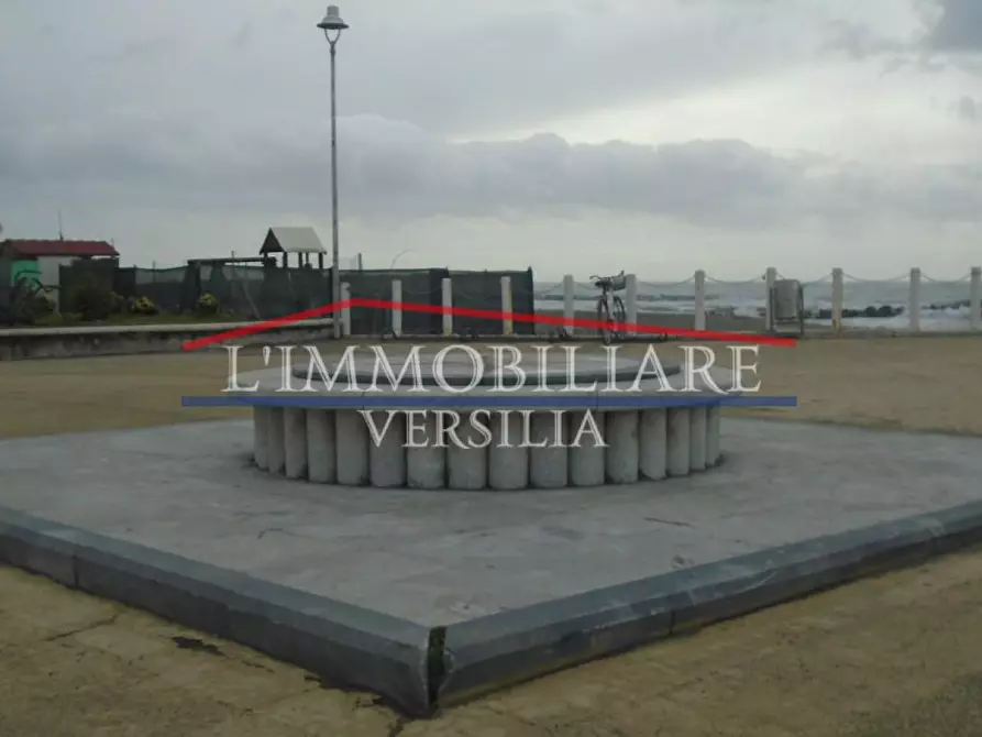 Immagine 24 di Capannone industriale in vendita  a Pietrasanta