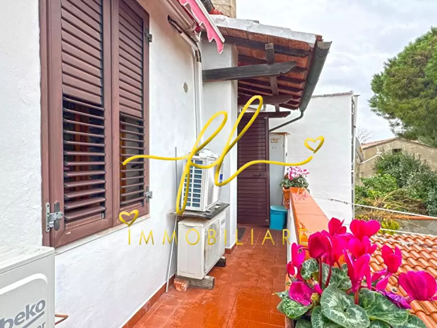 Immagine 25 di Terratetto in vendita  a Cecina