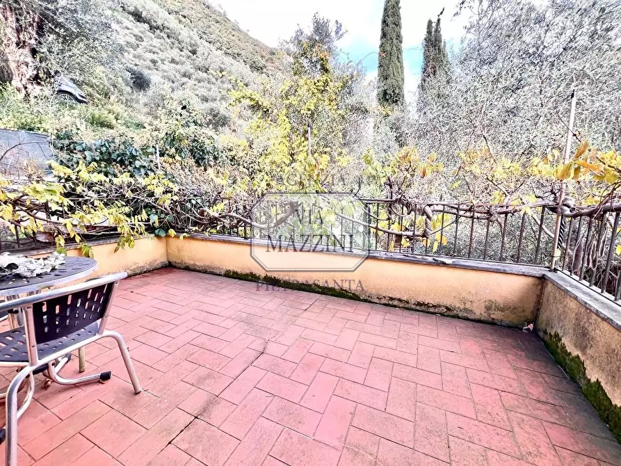 Immagine 18 di Rustico / casale in vendita  a Pietrasanta