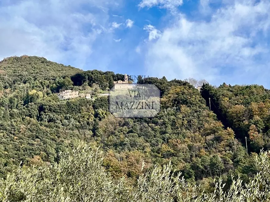 Immagine 5 di Rustico / casale in vendita  a Pietrasanta