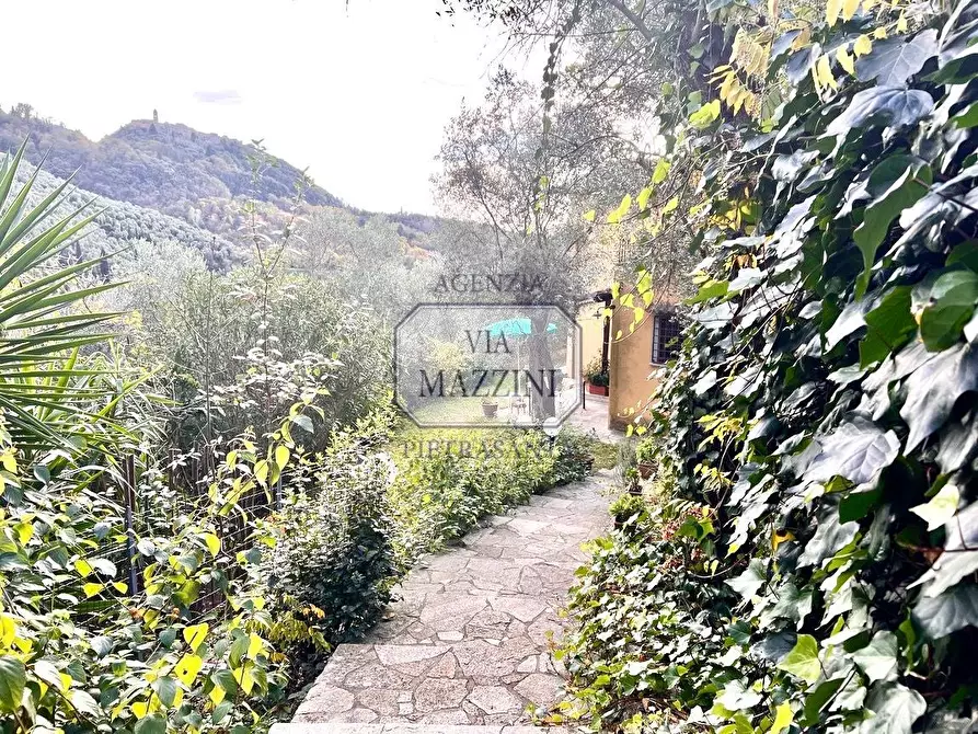 Immagine 2 di Rustico / casale in vendita  a Pietrasanta