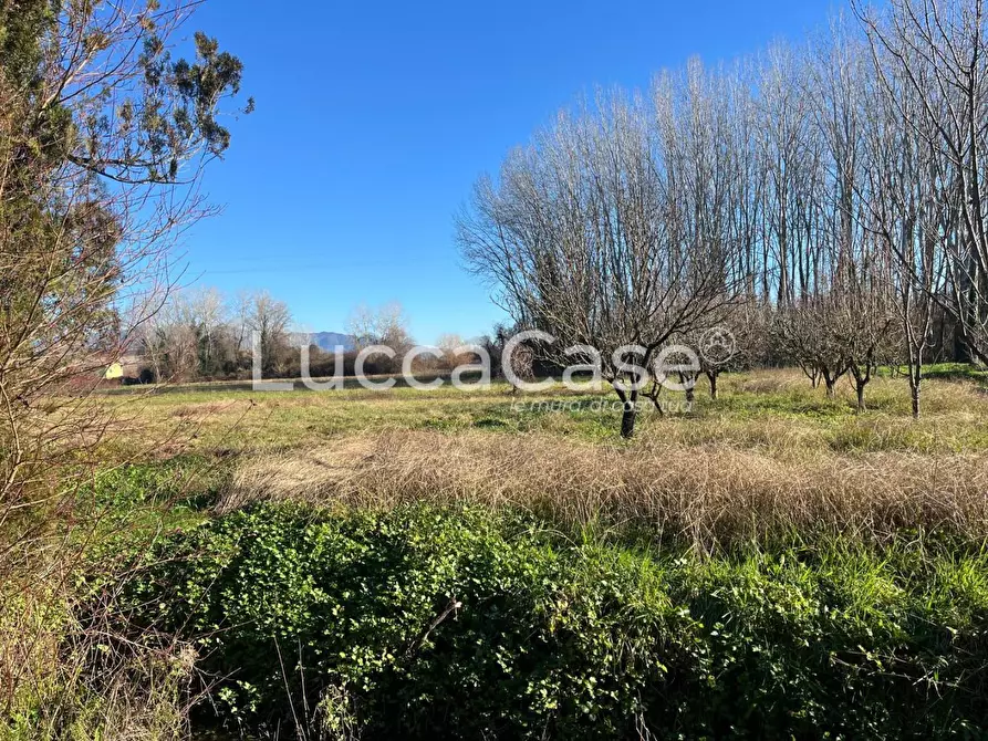 Immagine 2 di Rustico / casale in vendita  a Lucca