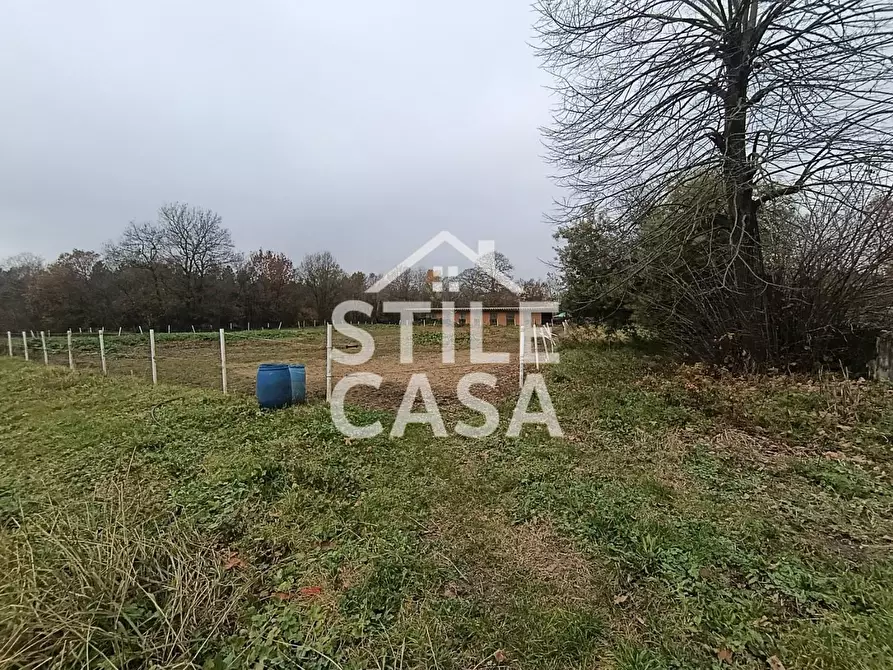 Immagine 11 di Azienda agricola in vendita  a Castelfranco Di Sotto