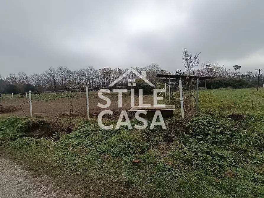 Immagine 31 di Azienda agricola in vendita  a Castelfranco Di Sotto