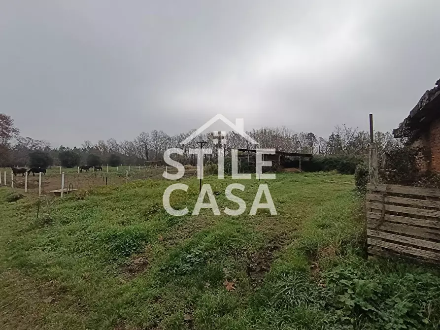 Immagine 10 di Azienda agricola in vendita  a Castelfranco Di Sotto