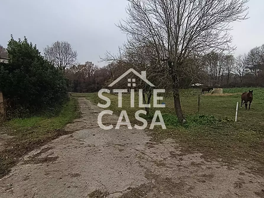 Immagine 26 di Azienda agricola in vendita  a Castelfranco Di Sotto