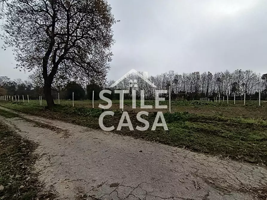 Immagine 19 di Azienda agricola in vendita  a Castelfranco Di Sotto