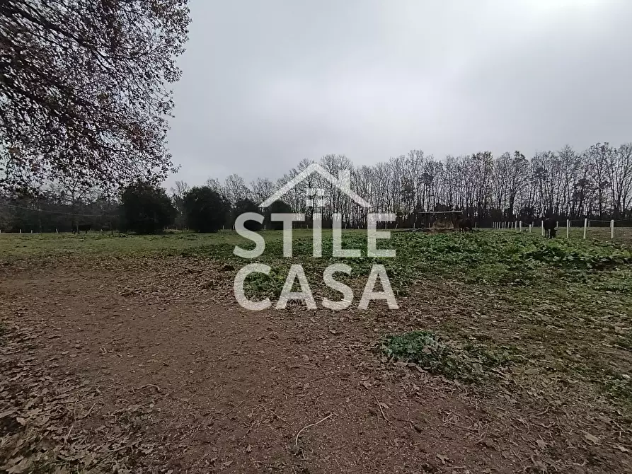 Immagine 22 di Azienda agricola in vendita  a Castelfranco Di Sotto