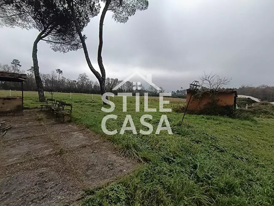 Immagine 12 di Azienda agricola in vendita  a Castelfranco Di Sotto