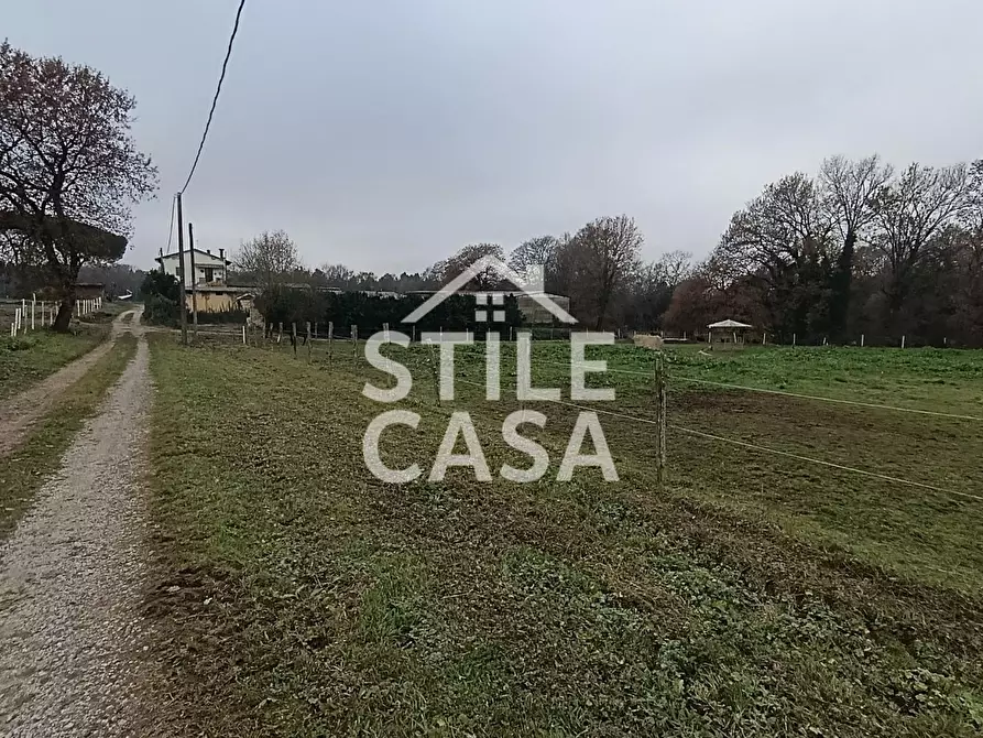 Immagine 2 di Azienda agricola in vendita  a Castelfranco Di Sotto