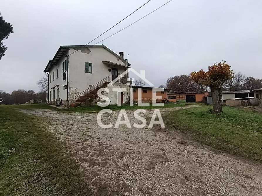 Immagine 30 di Azienda agricola in vendita  a Castelfranco Di Sotto
