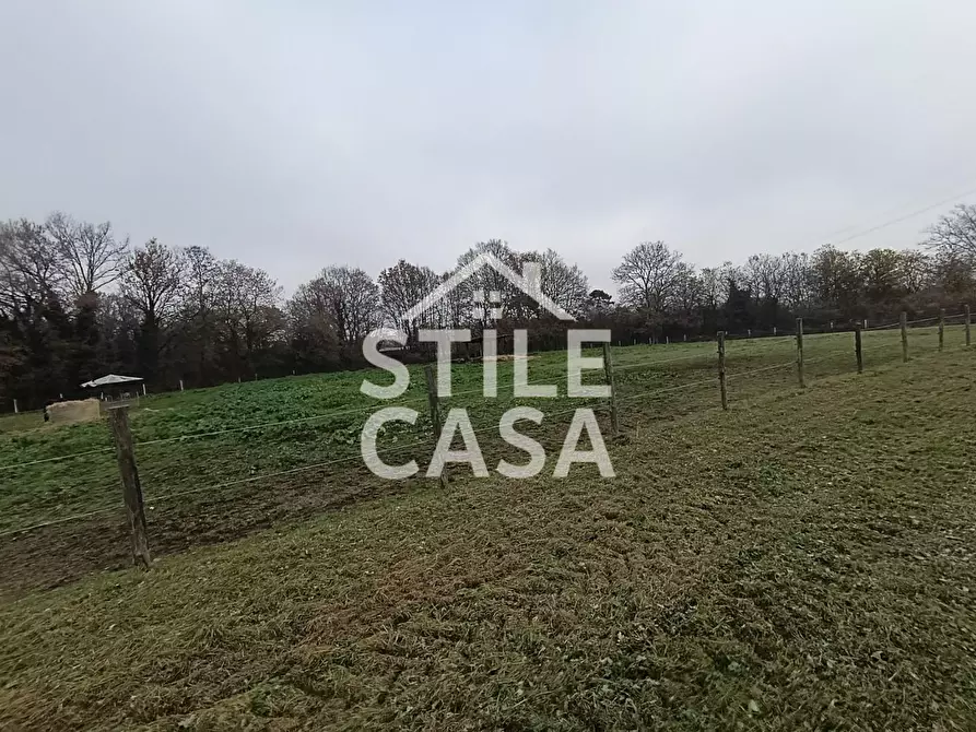 Immagine 17 di Azienda agricola in vendita  a Castelfranco Di Sotto