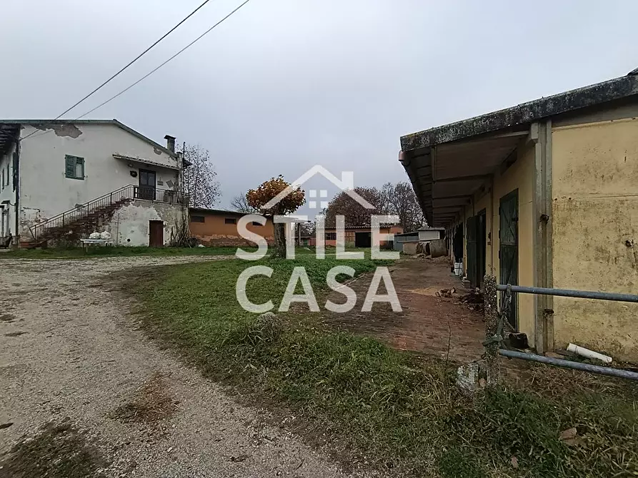 Immagine 25 di Azienda agricola in vendita  a Castelfranco Di Sotto