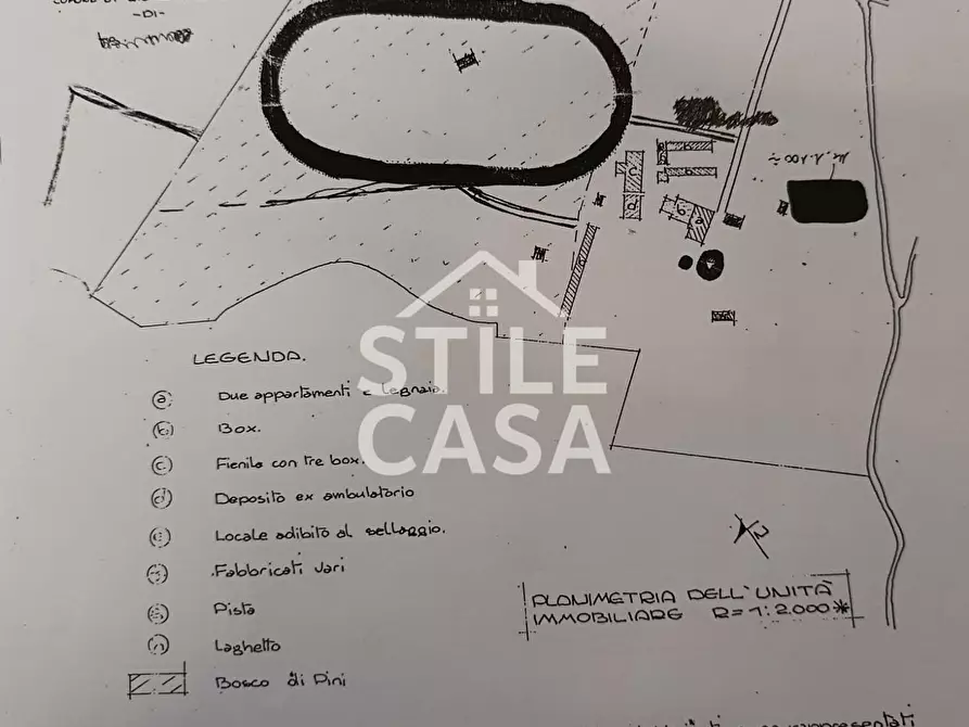 Immagine 32 di Azienda agricola in vendita  a Castelfranco Di Sotto