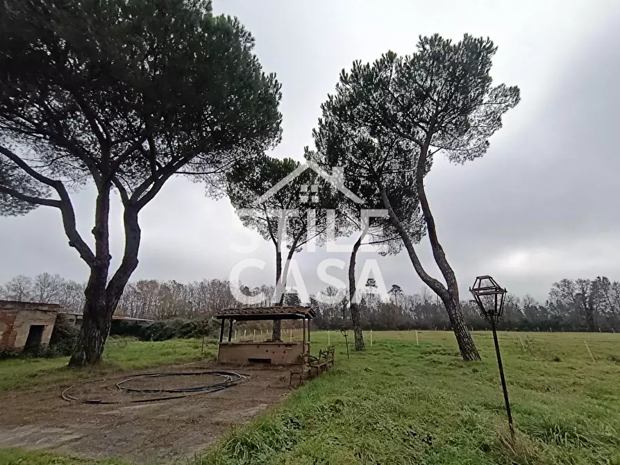Immagine 7 di Azienda agricola in vendita  a Castelfranco Di Sotto