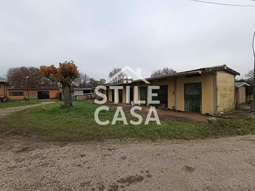 Immagine 27 di Azienda agricola in vendita  a Castelfranco Di Sotto