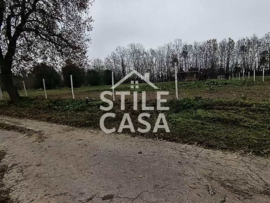 Immagine 14 di Azienda agricola in vendita  a Castelfranco Di Sotto
