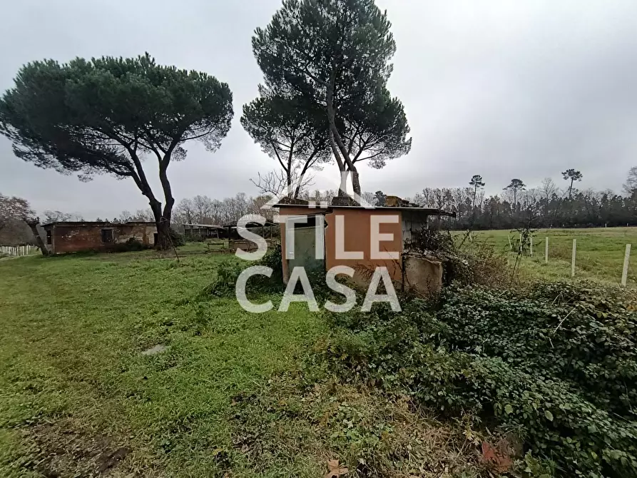 Immagine 6 di Azienda agricola in vendita  a Castelfranco Di Sotto