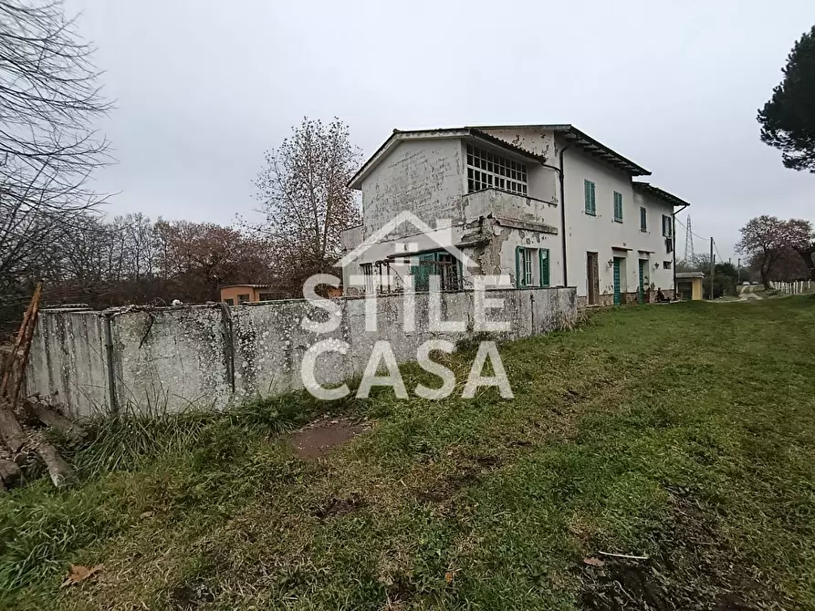 Immagine 8 di Azienda agricola in vendita  a Castelfranco Di Sotto