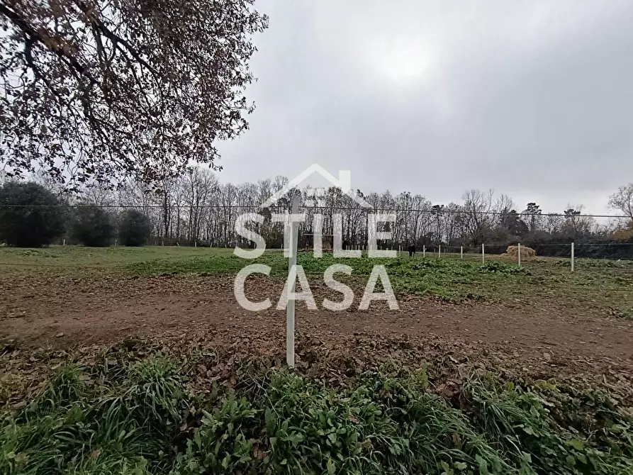 Immagine 3 di Azienda agricola in vendita  a Castelfranco Di Sotto