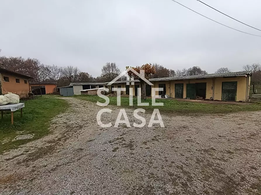 Immagine 29 di Azienda agricola in vendita  a Castelfranco Di Sotto