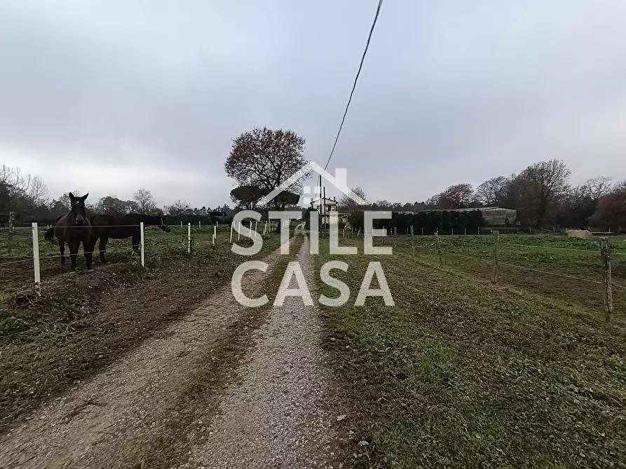 Immagine 18 di Azienda agricola in vendita  a Castelfranco Di Sotto