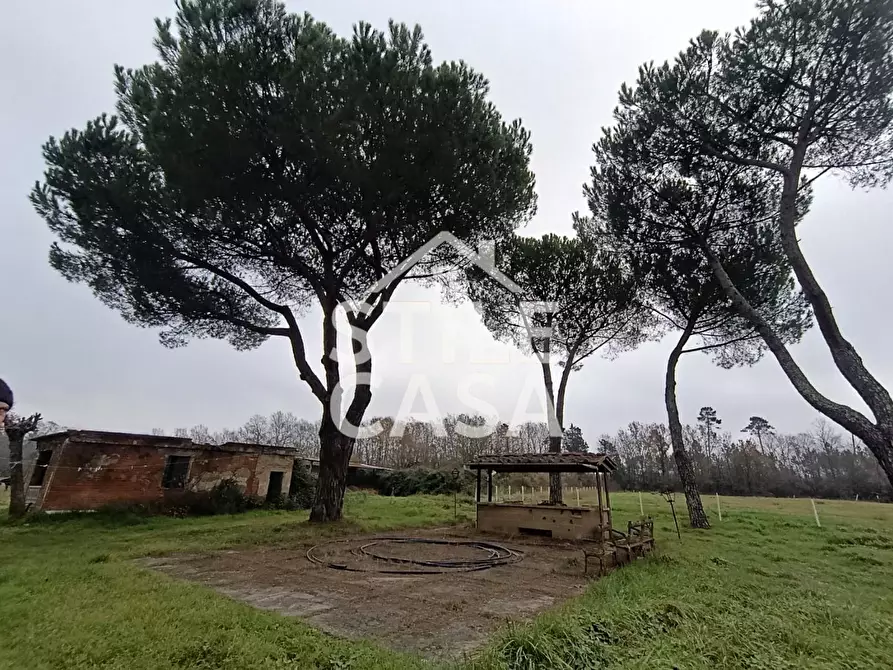 Immagine 1 di Azienda agricola in vendita  a Castelfranco Di Sotto
