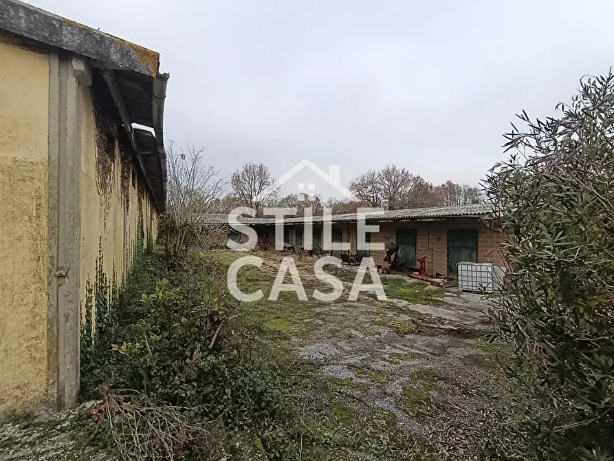 Immagine 28 di Azienda agricola in vendita  a Castelfranco Di Sotto